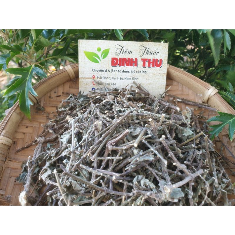 Cây Cỏ Xước - Cây Ngưu Tất Nam sấy khô