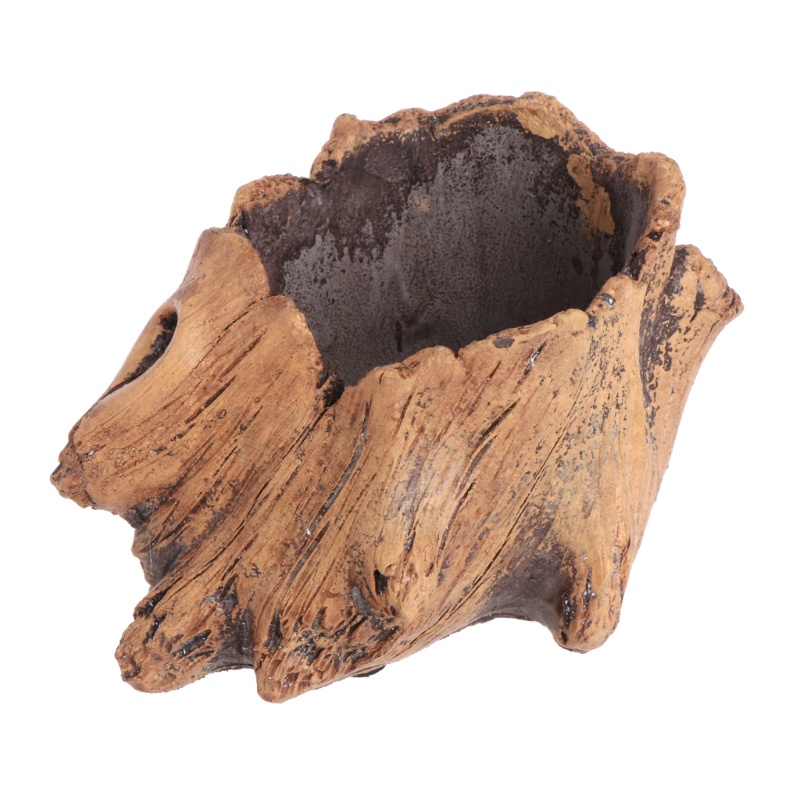 Chậu trồng cây mọng nước bonsai bằng xi măng giả gỗ trang trí đẹp mắt