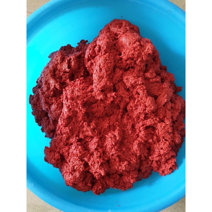 Thức ăn TIM BÒ - TRÙNG HUYẾT cho cá cảnh lên màu đẹp.