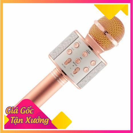 MIC KARAOKE WS-858 KÈM LOA