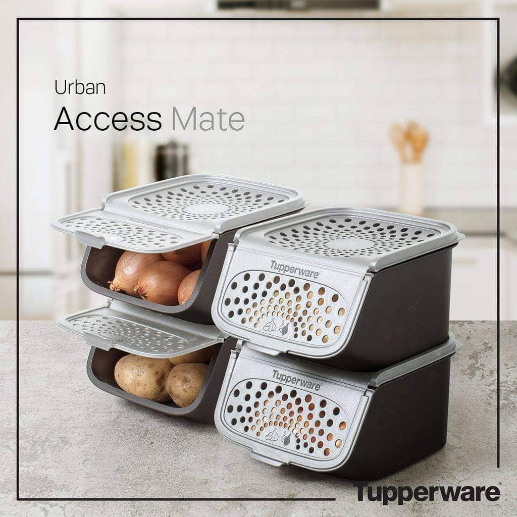 Hộp bảo quản hành tỏi Access Mate 2.3L Tupperware