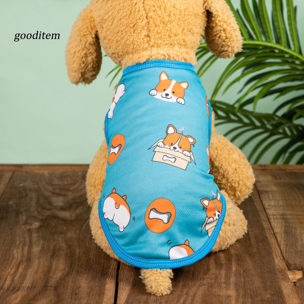 Áo Sweatshirt Mặc Mùa Hè Dễ Thương Cho Thú Cưng