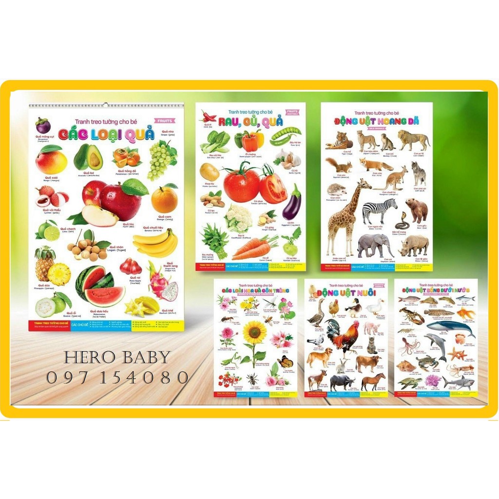 Tranh Treo Tường 14 Chủ Đề Cho Bé