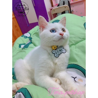 Chuông Kẹo Thú cưng
