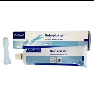 [GIAO HÀNG NHANH] Gel Dinh Dưỡng Cho Chó Mèo Bệnh, Biếng Ăn, Gầy Gọc - Nutri Plus Gel Virbac