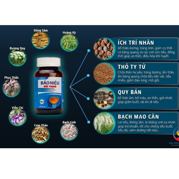 Bảo Niệu Đức Thịnh hỗ trợ bổ thận, giảm đái dầm, tiểu nhiều, tiểu buốt, tiểu rắt, tiểu đêm nhiều lần (60 viên)