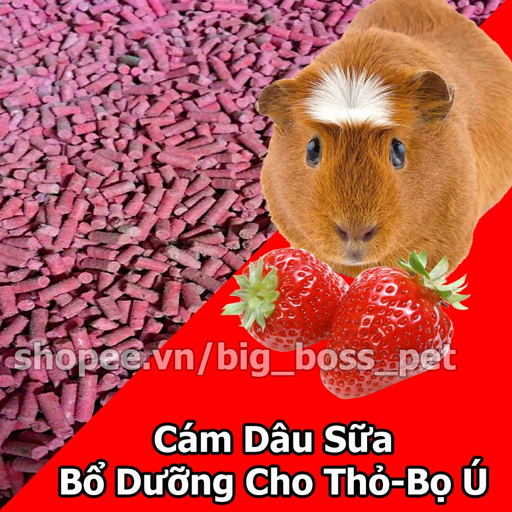1kg Cám Dâu Sữa Mượt Lông Thức ăn Cho Thỏ-Bọ ú-Guinea Pig
