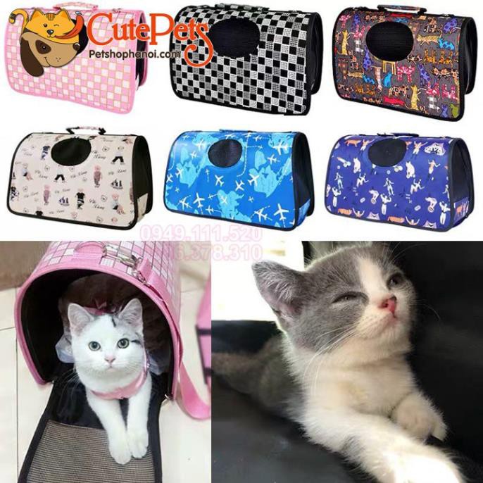Túi vận chuyển chó mèo, lồng vận chuyển chó mèo thú cưng - CutePets Phụ kiện chó mèo Pet shop Hà Nội