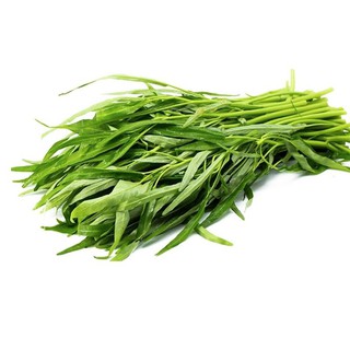 Hạt giống rau muống gói 50g