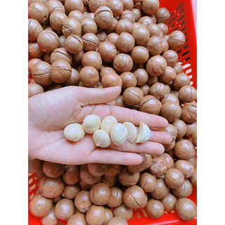 [500Gr] Hạt Mắc Ca Sấy Khô  - Chuẩn Chất Lượng