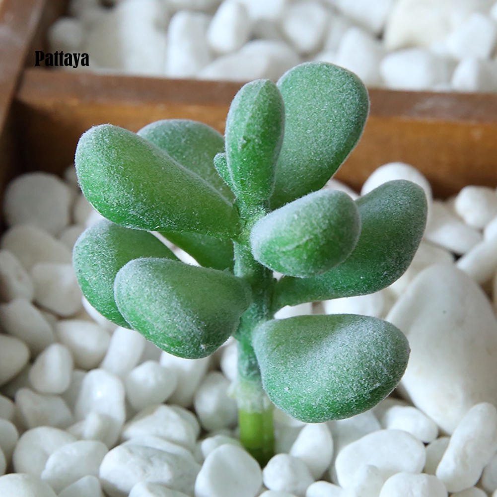 1 Cây Cảnh Giả Bằng Nhựa Cho Trang Trí