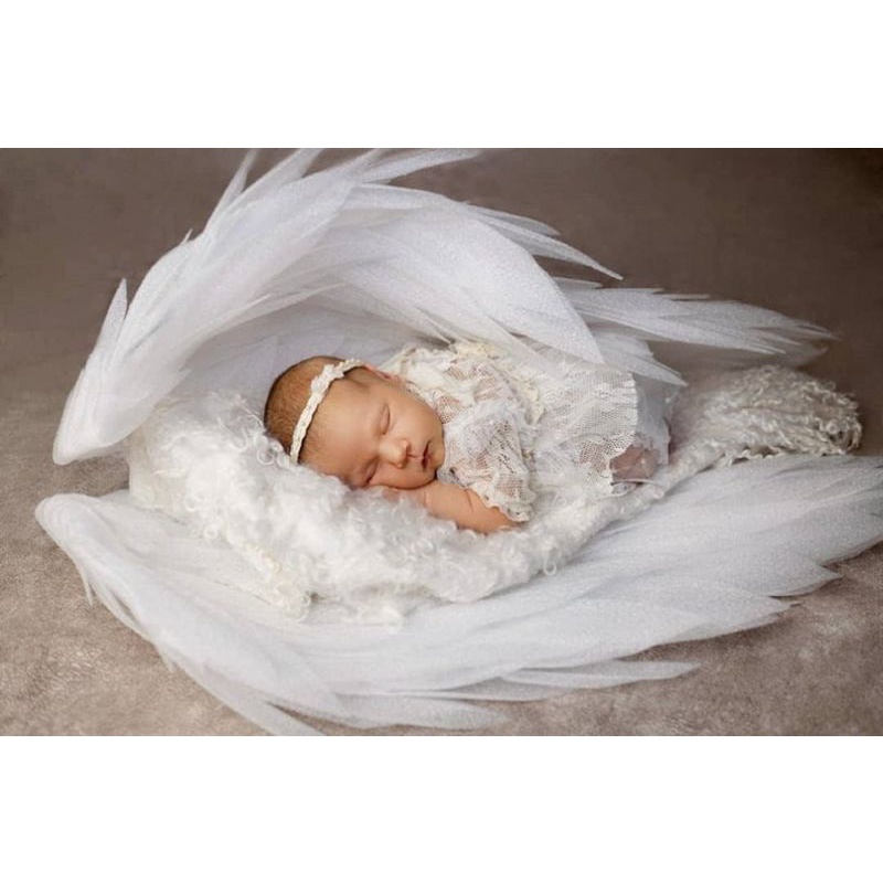 cánh thiên thần baby