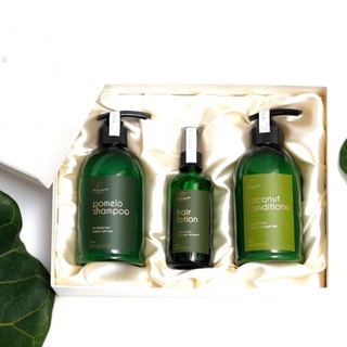 TINH DẦU BƯỞI VI JULLY 100ML