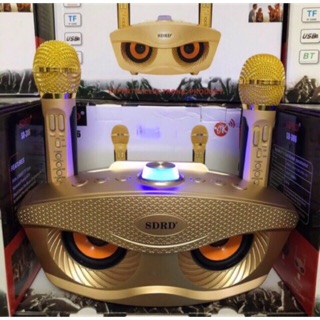Loa karaoke sd-306