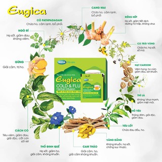 Trà Thảo Dược Eugica Cold & Flu (10 gói/hộp)