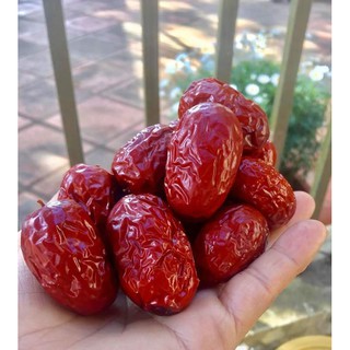 [HÀNG CHUẨN] 500G TÁO ĐỎTÂN CƯƠNG (HÀ GIANG)