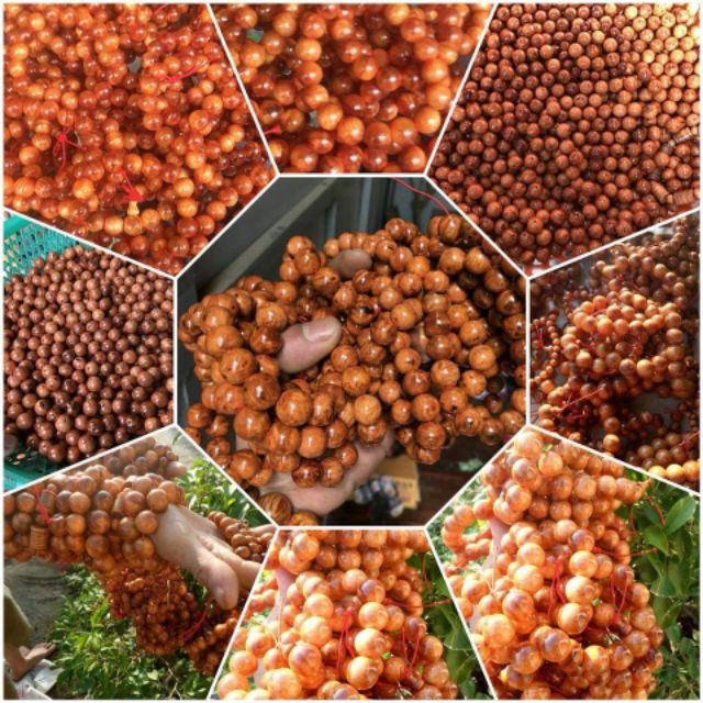 Vòng huyết long hay vòng huyết rồng