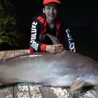 TINH MÙI CA TRA THAILAND MAYME