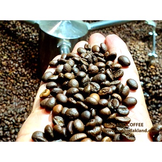 DAKLAND COFFEE - CÀ PHÊ SẠCH FERMENT 500G