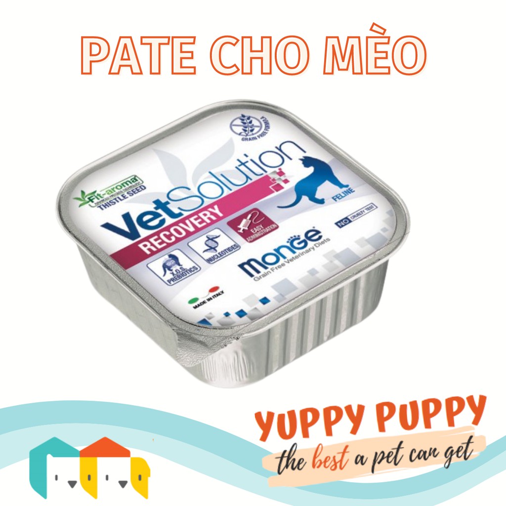 Monge Vetsolution pate hỗ trợ thúc đẩy phục hồi dinh dưỡng dành cho mèo bệnh và sau phẫu thuật 100gr