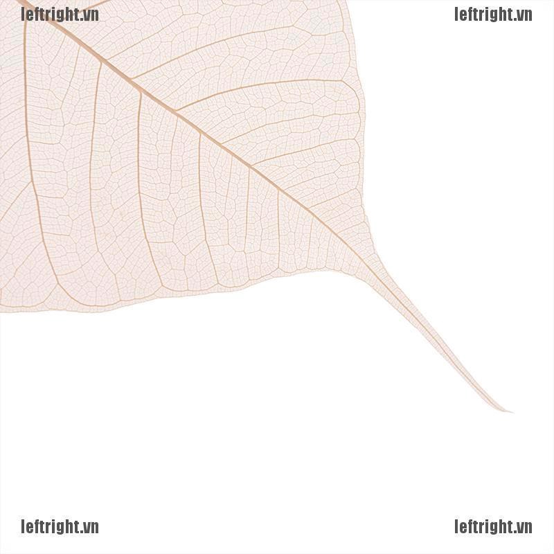 Dụng Cụ Lọc Trà Hình Chiếc Lá Phong Cách Phật Giáo