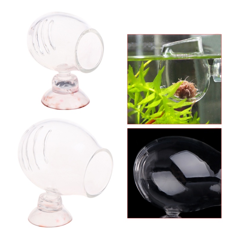 Cốc Thủy Tinh Đựng Thức Ăn Cho Tôm Cá