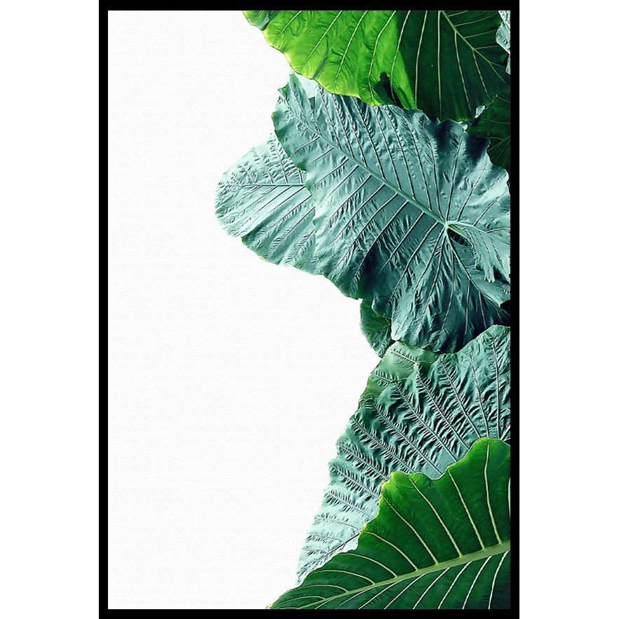 Tranh canvas lá cây nhiệt đới - 30 x 45cm x 1 tranh