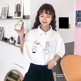 Áo mèo đẩy tim (TR)