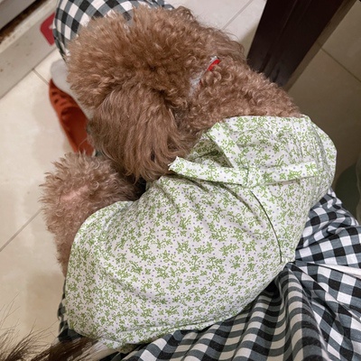 Áo tay bèo hoa nhí dành cho thú cưng