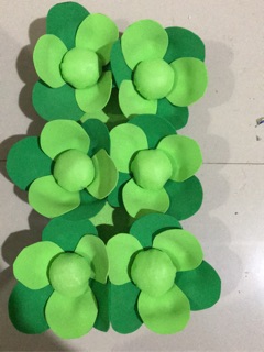 Vỉ rau súp lơ