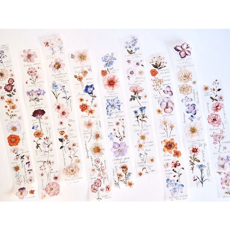 Freckles Tea Vol 1 chiết lẻ chu kỳ 300cm băng dán hình cuộn Flower illustraded