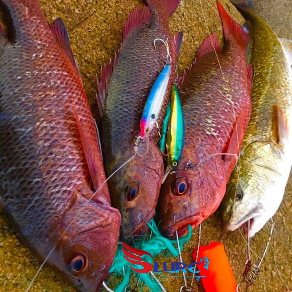 Mồi giả, mồi lure ghềnh, Samurai 26g chính hãng, Slure, câu cá Hồng, cá Nhồng, cá Bè , cá mú...