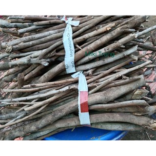 Củi khô trang trí