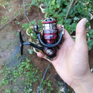 Máy câu cá Daiwa  gakkaij 2000 s