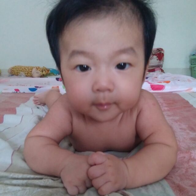 Elichan - Hàng Nội địa Nhật