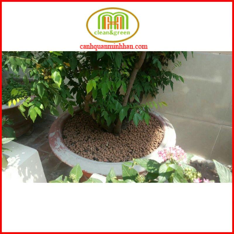 Viên đất nung trồng cây Sfarm 1kg trồng lan, trồng cây, sen đá, làm hệ thống lọc...