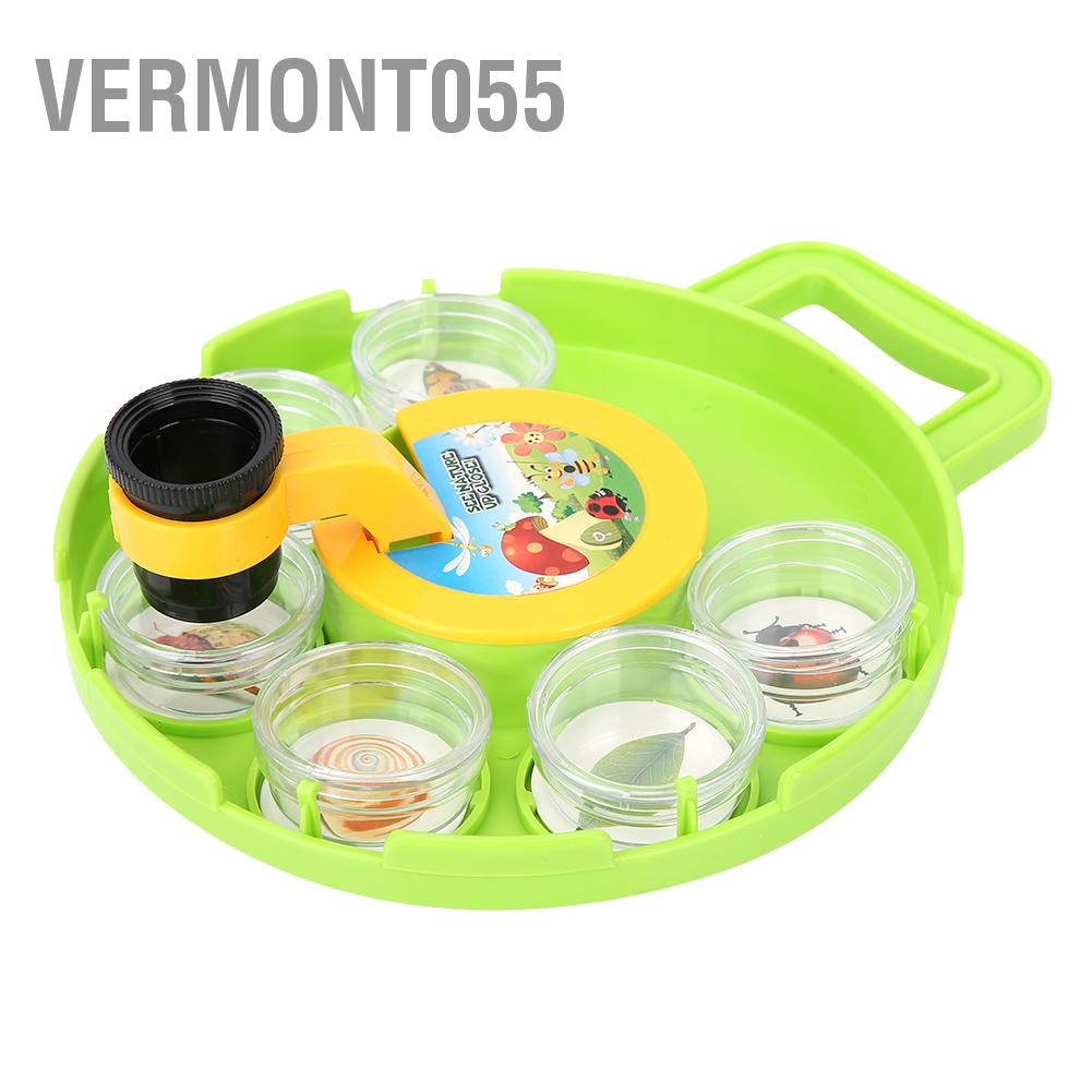 Có thể bán buôn Khoa học ngoài trời Chụp côn trùng Quan sát Hộp kính lúp Xem hộp đựng Vermont055  Hàng giao ngay