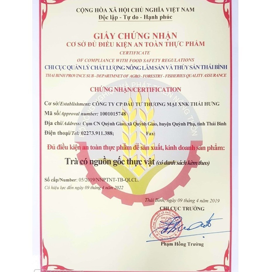 Trà Cà Gai Leo THÁI HƯNG Bịch 50 Túi Lọc 250g Thanh Nhiệt Giải Độc Mát Gan 100% Tự Nhiên | BigBuy360 - bigbuy360.vn