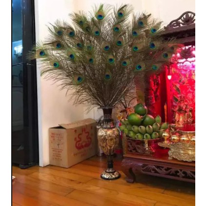 Lông công trang trí phong thủy thu hút tài lộc may mắn sung túc cho gia đình chủ nhân dài 90-120cm | BigBuy360 - bigbuy360.vn