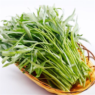 HẠT RAU MUỐNG