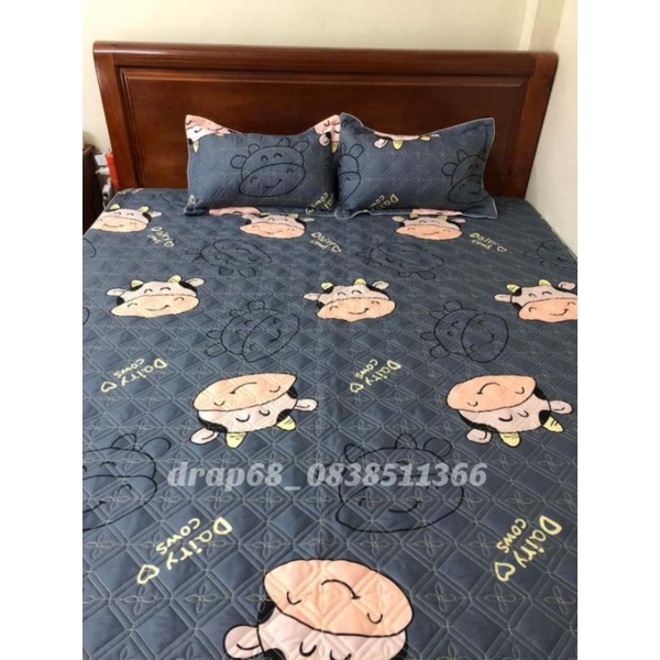 Ga trần bông ,ga chun trần bông ( 1m2) | BigBuy360 - bigbuy360.vn