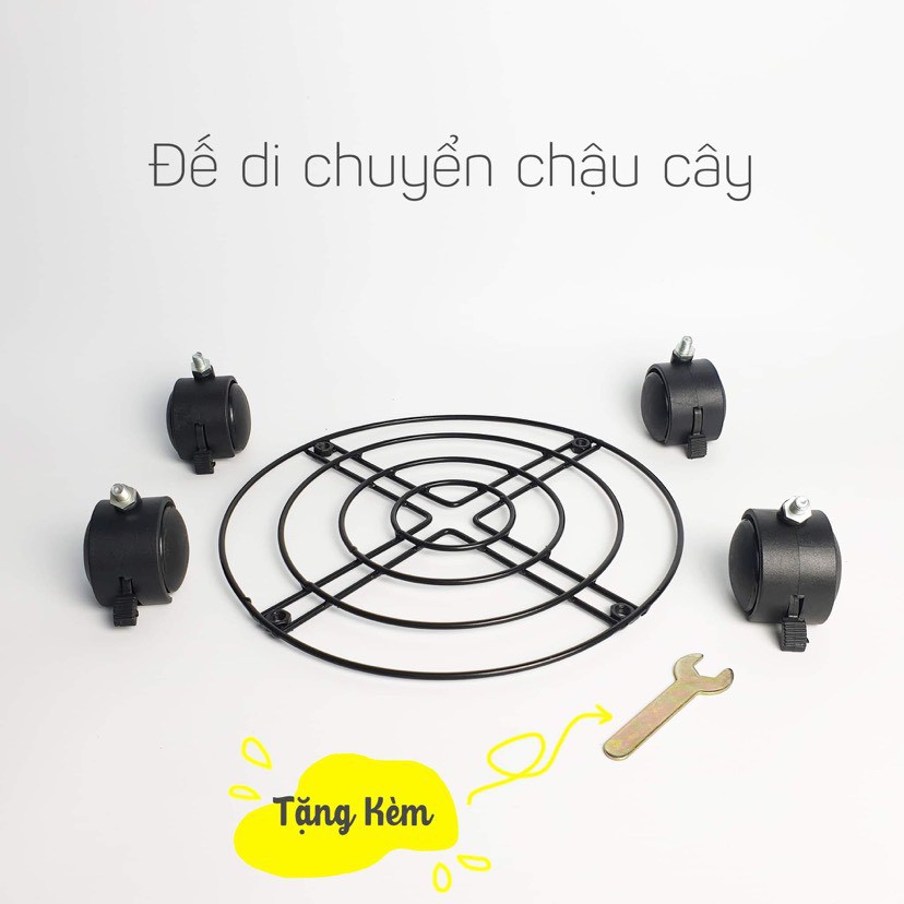 Đế để chậu cây có bánh xe tiện dụng