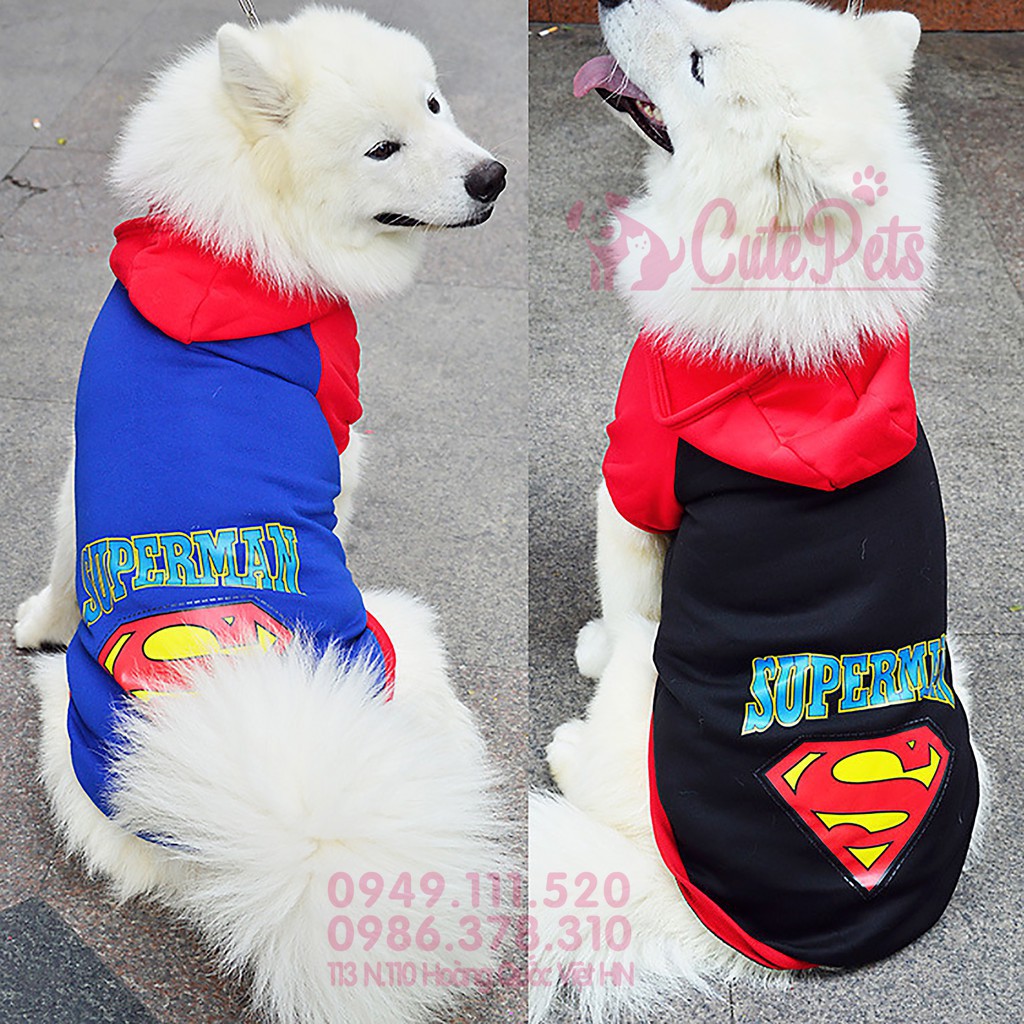 Áo Supper Man dành cho thú cưng từ 1-40kg - Thức ăn chó mèo CutePets
