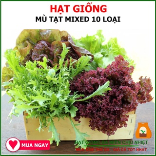 Hạt Giống Cải Mù Tạt Mixed 10Gram