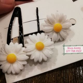 Set bộ kẹp cúc trắng họa mi