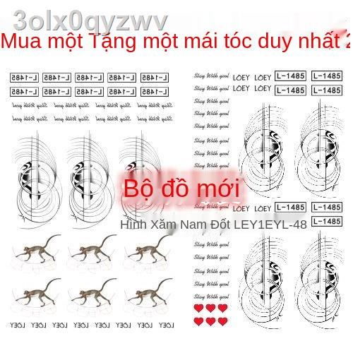 ﹊Hình xăm dán EXO Pu Canyeol Hình xăm giống Monkey Canyeol Guitar Tattoo Sticker L-1485loey