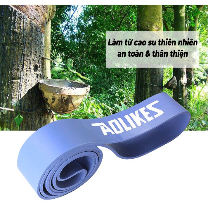 Dây Kháng Lực Tập Gym Powerband Đa Năng Toàn Thân Tập Xà Đơn Chính Hãng Aolikes 15lbs-175lbs