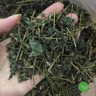 1KG Giảo cổ lam khô loại thượng hạng F037
