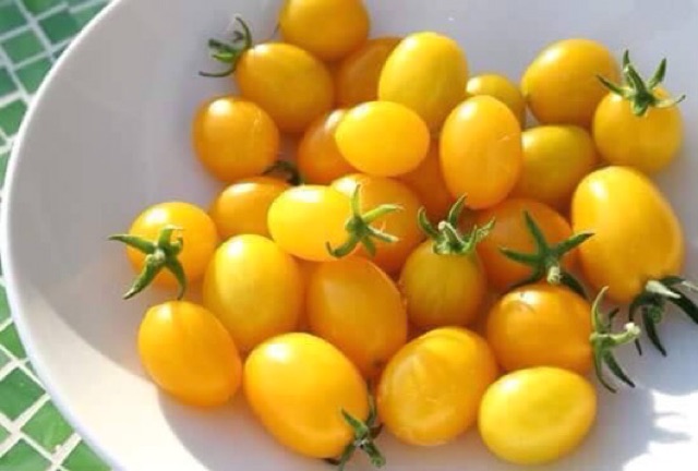 Hạt giống cà chua cherry anh đào Vàng Nhập Khẩu