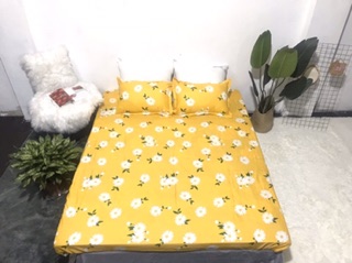 Bộ 5 Món Hè Cotton Poly Mẫu Hoa Cúc Vàng